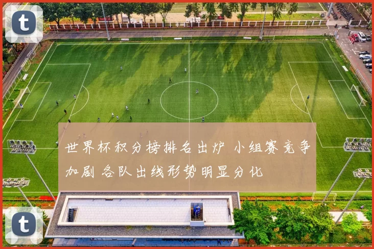 世界杯积分榜排名出炉 小组赛竞争加剧 各队出线形势明显分化