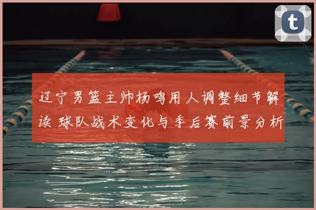 辽宁男篮主帅杨鸣用人调整细节解读 球队战术变化与季后赛前景分析