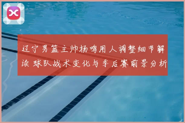 辽宁男篮主帅杨鸣用人调整细节解读 球队战术变化与季后赛前景分析